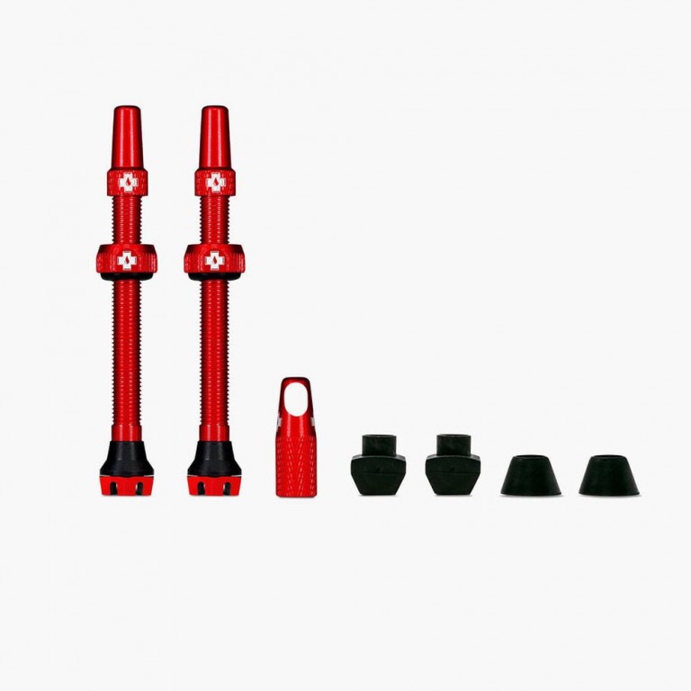 Kit Paire de Valves Tubeless V2 60MM