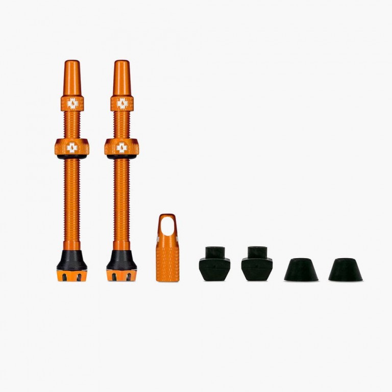 Kit Paire de Valves Tubeless V2 60MM