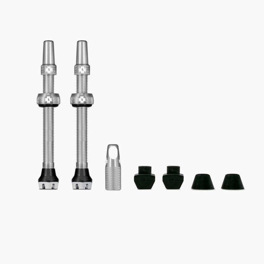 Kit Paire de Valves Tubeless V2 60MM
