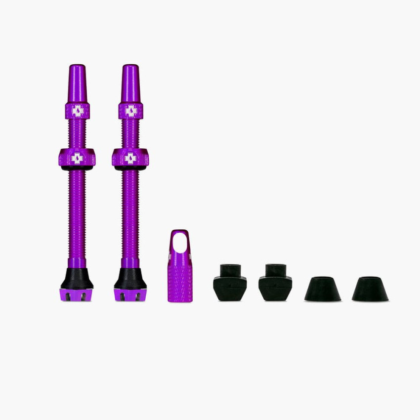 Kit Paire de Valves Tubeless V2 60MM