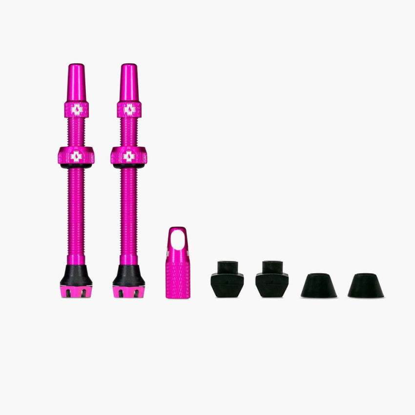 Kit Paire de Valves Tubeless V2 60MM