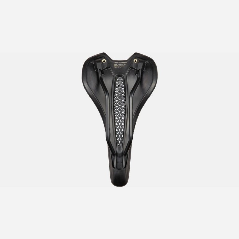 Romin EVO Pro avec Mirror Saddle