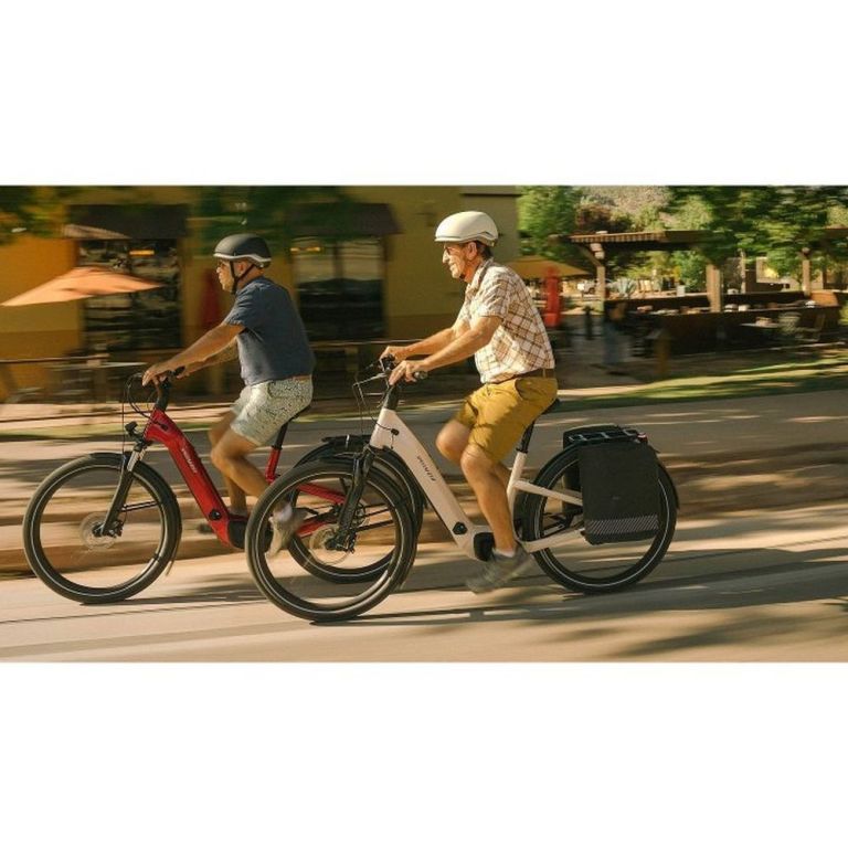 Tailwind Panniers