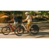 Tailwind Panniers