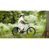 Tailwind Panniers