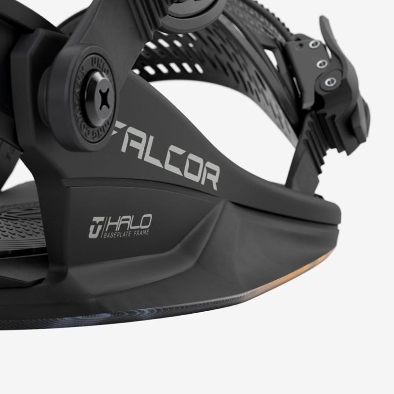 Falcor Bindings