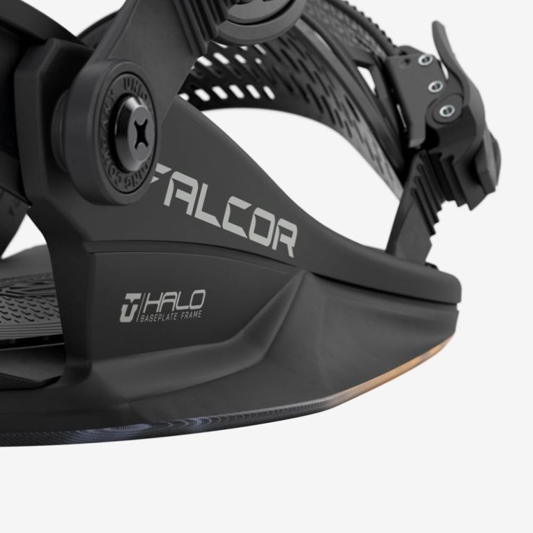 Falcor Bindings