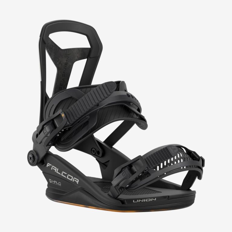 Falcor Bindings