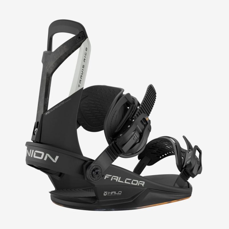 Falcor Bindings