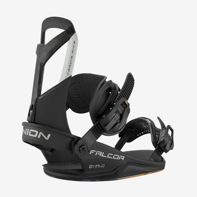 Falcor Bindings
