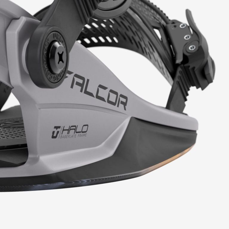 Falcor Bindings