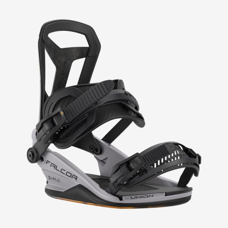 Falcor Bindings