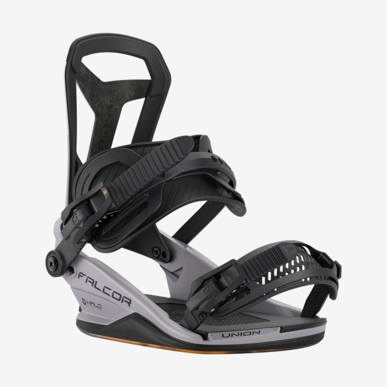 Falcor Bindings