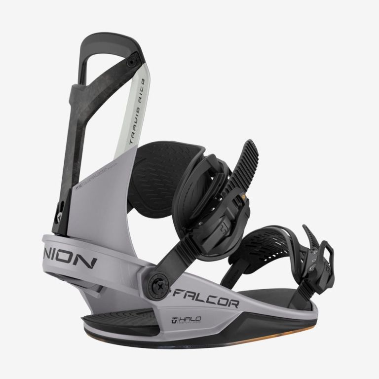 Falcor Bindings