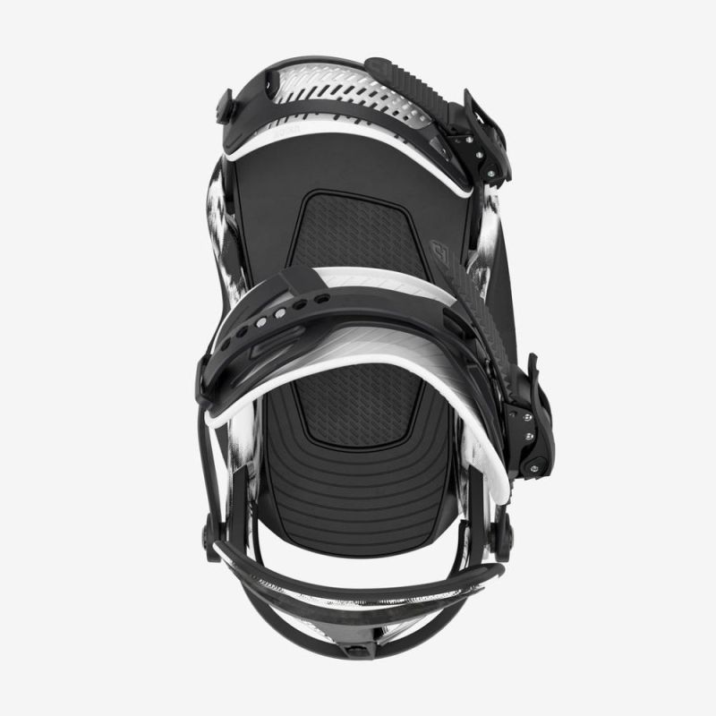 Falcor Bindings