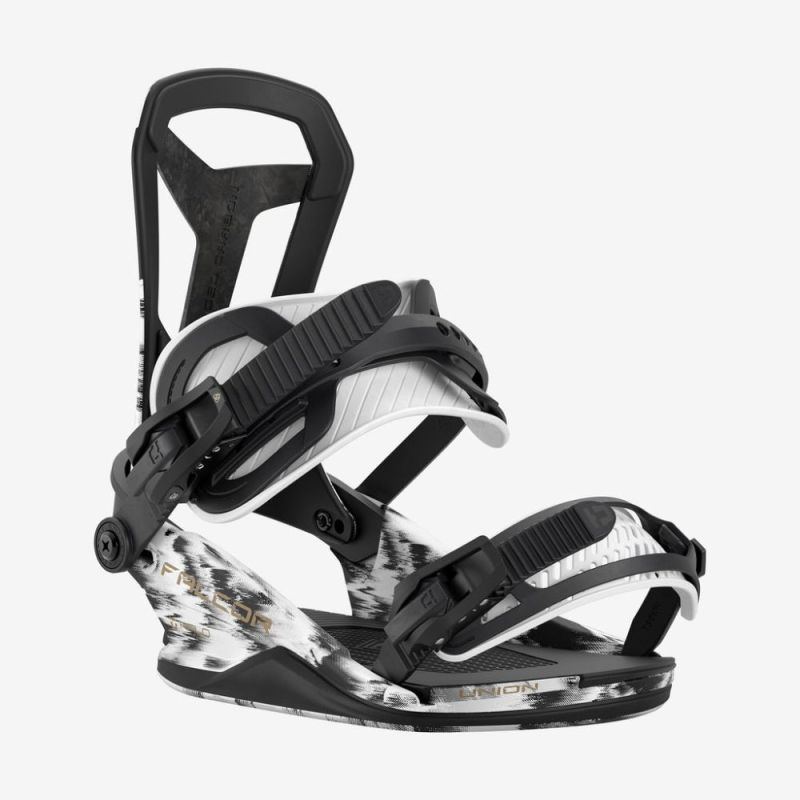 Falcor Bindings
