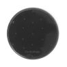 CLEAR BLACK
