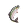 BRUSHIE FISH